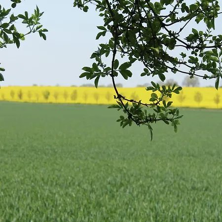 Apartament In Boltenhagen Am Sandstrand *