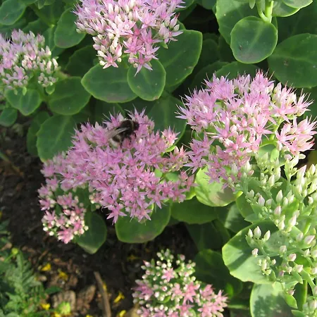 In Boltenhagen Am Sandstrand