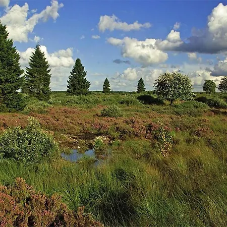 In Boltenhagen Am Sandstrand * Redewisch